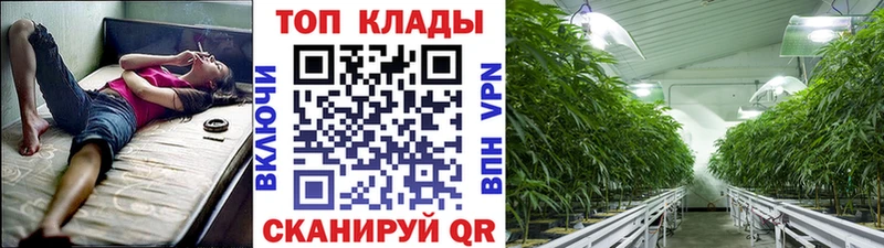 Хочу наркоту Мирный OMG зеркало Гашиш COCAIN