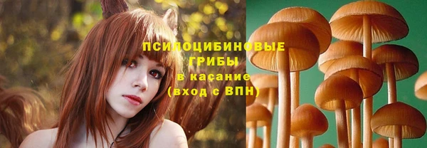 шишки Беломорск