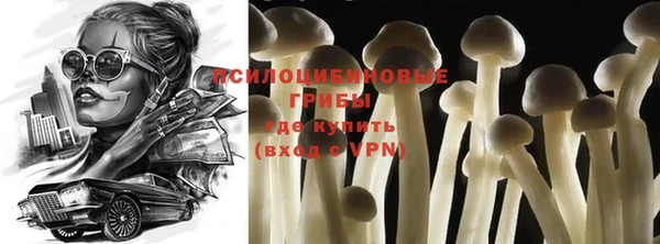 ГАЛЛЮЦИНОГЕННЫЕ ГРИБЫ Белоозёрский