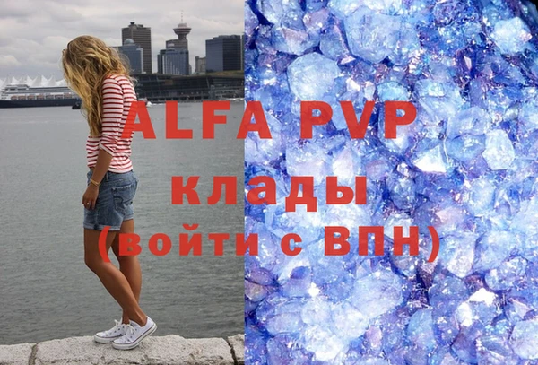 стаф Белокуриха