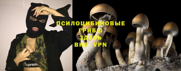 шишки Беломорск