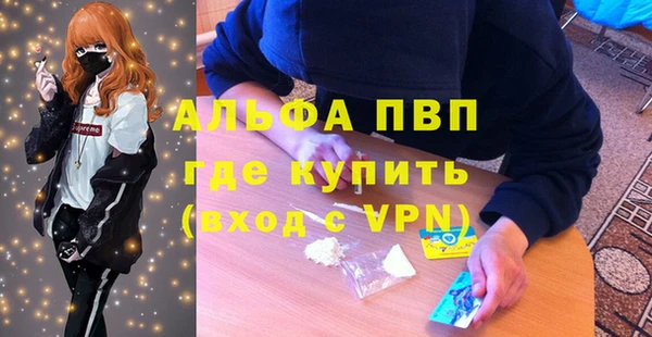 стаф Белокуриха