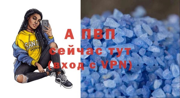 ГАЛЛЮЦИНОГЕННЫЕ ГРИБЫ Белоозёрский