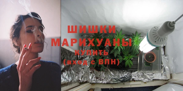 шишки Беломорск