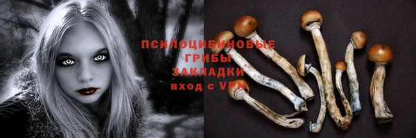 стаф Белокуриха